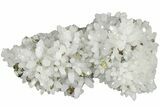 Quartz Crystal Cluster with Golden Chalcopyrite - China #205523-4